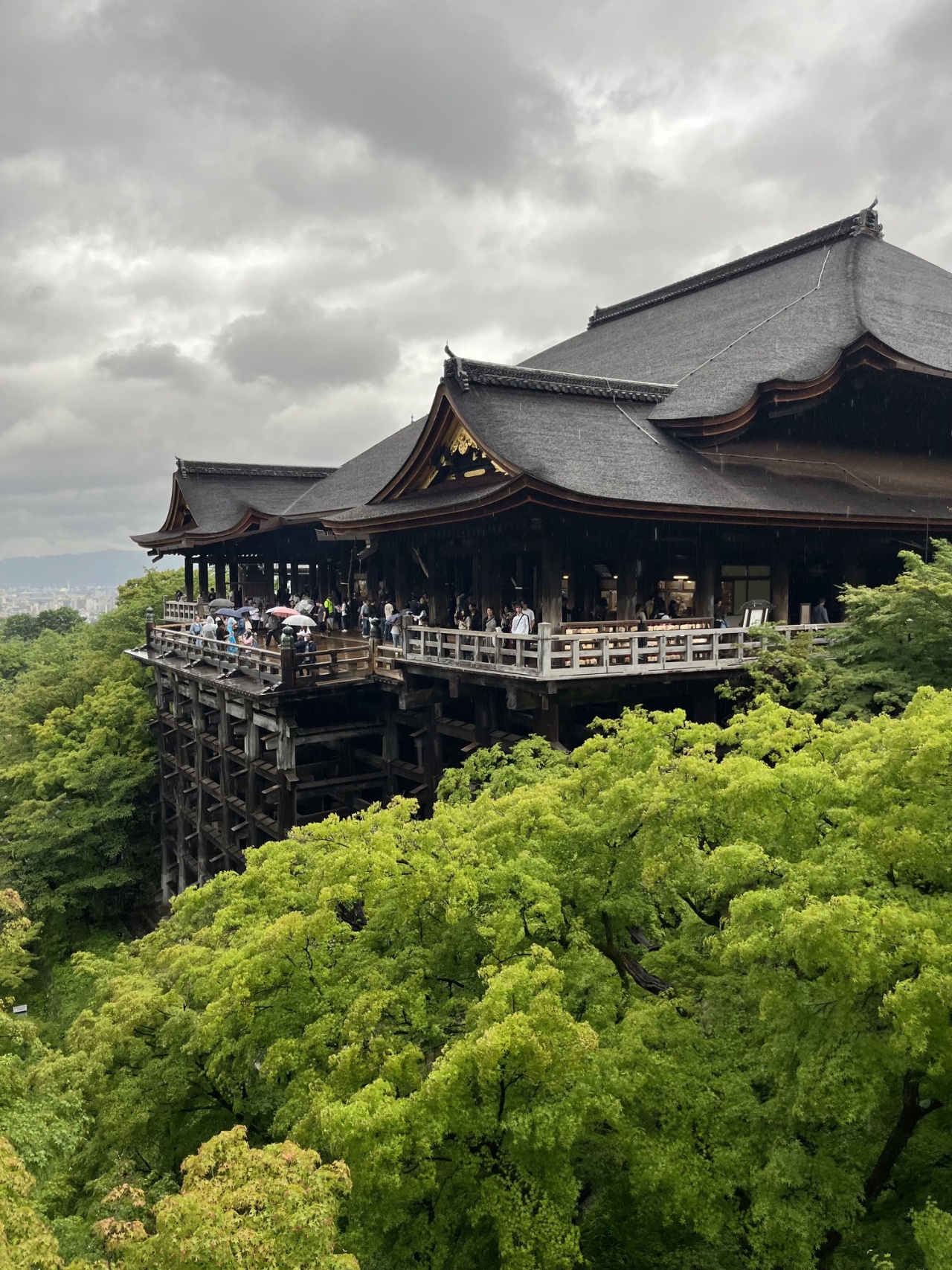 たくちゃんの日常（社員旅行）